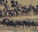 The Migration